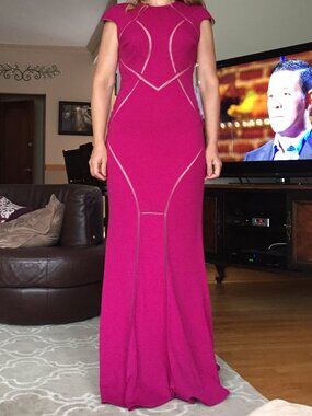 Xscape - Pink Illusion Sheer Cutout Stretch Knit Cap Sleeve Gown - US size 6